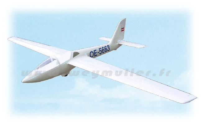 Planeur FOX MDM-1 2,20m