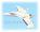Kit FunJet 0,79m