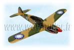 Kit P-40E Warhawk. 0,51m