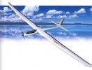 Planeur Flamingo 2006 elektro Carbon Thermik ARF