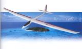 Planeur Flamingo 2006 Carbon Thermik ARF