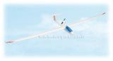 Planeur Discus 2m