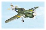 Kit P40 Warhawk 1,63m
