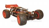 Buggy �lectrique Splinter BL Lipo 2,4GHz 1/10