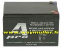 Batterie au plomb<br>12V 12A