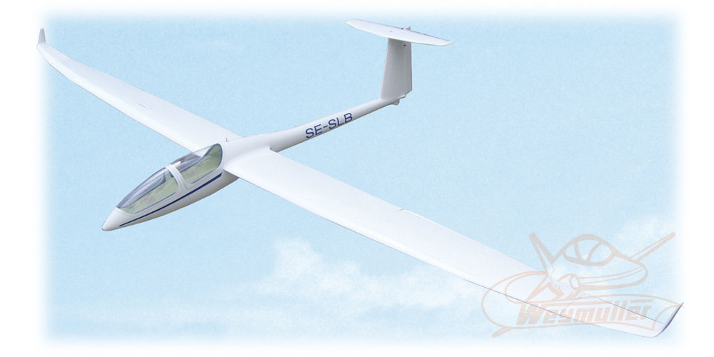 Planeur DG-1001 2,50m